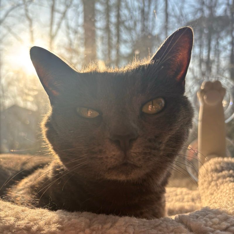 Winnie