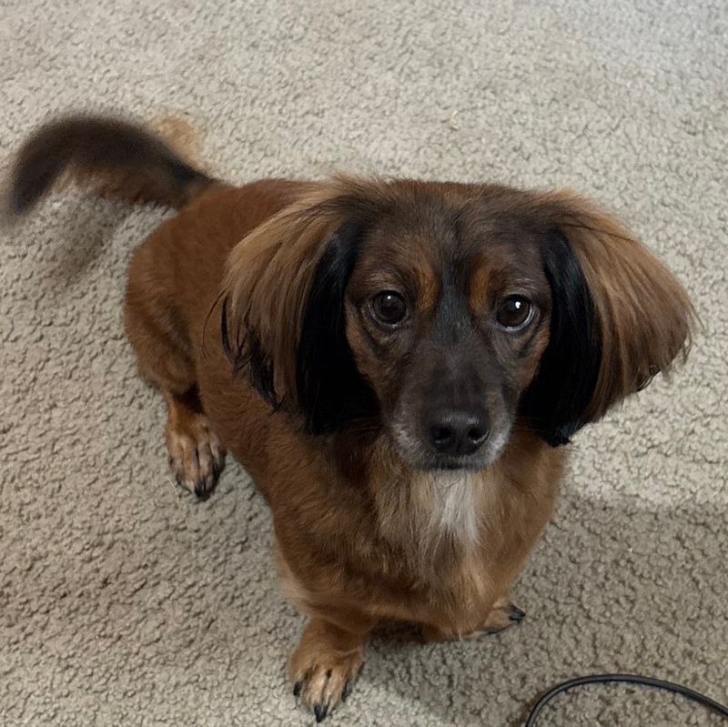 Franklin