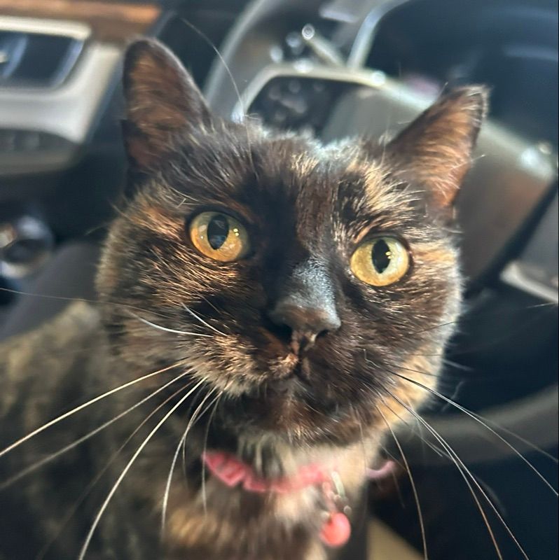 Suzie