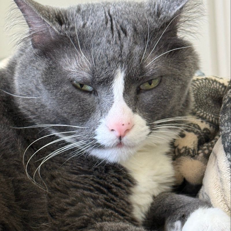 Tom