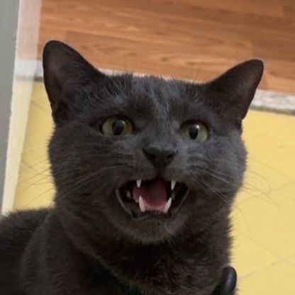 Cosmo