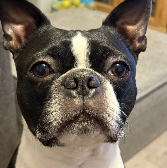 Jinx