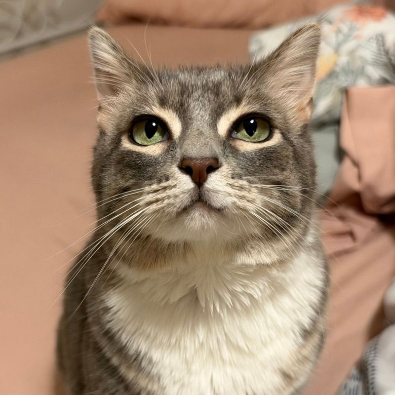 Freya