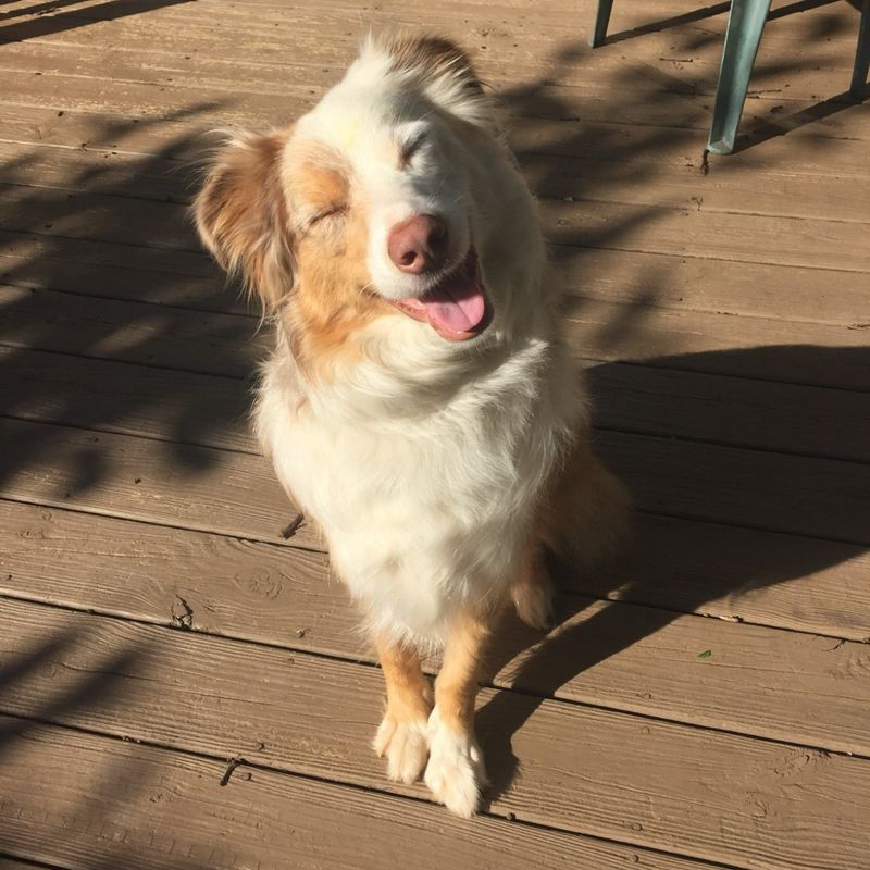 Loki