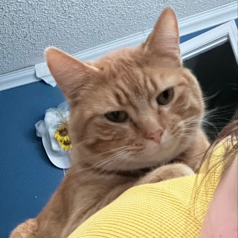 Garfield Eugene
