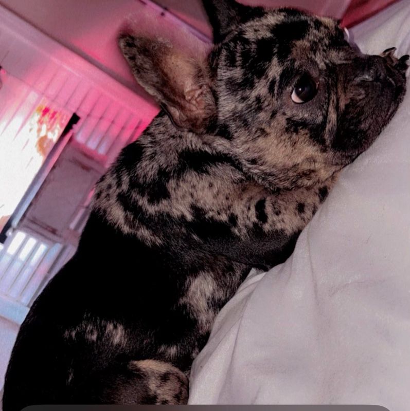 Minnie