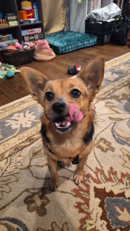 Daisy Mae