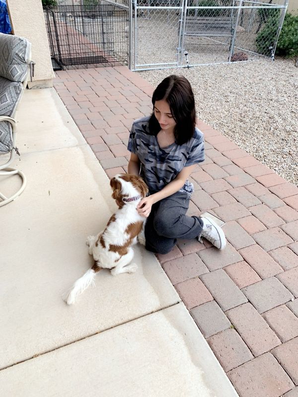 Ella’s Pet Services🐾 Pup sitting/Overnight🐶