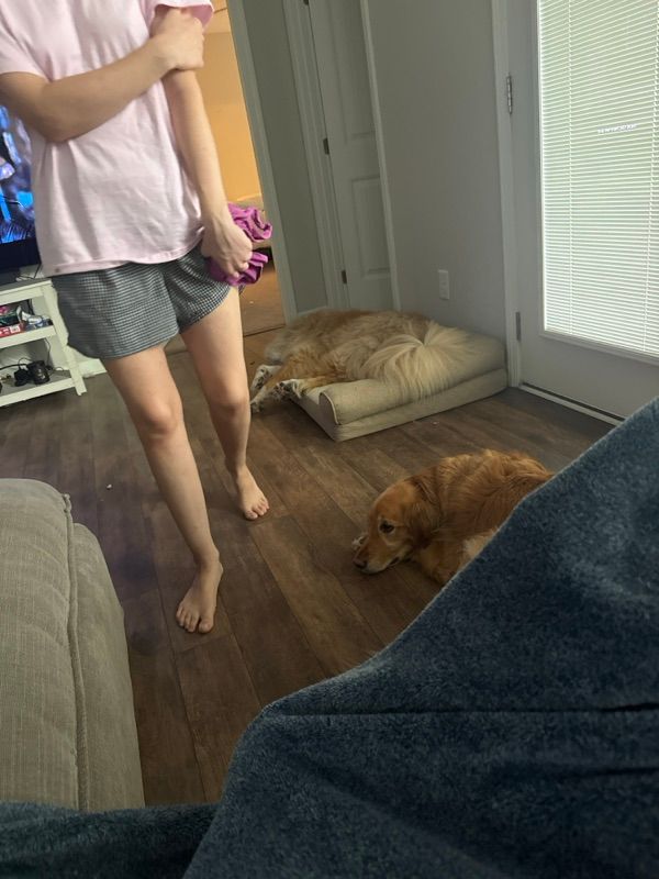 Kate’s amazing pet sitting