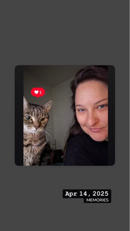 Experienced Pet Sitting