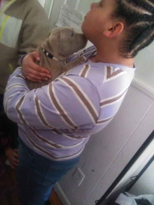 A person in a purple striped shirt holds a small tan puppy close to their face while another person stands in the background.