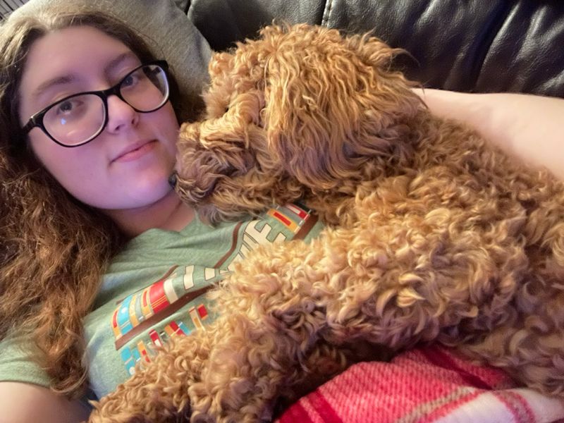 Pet Sitting