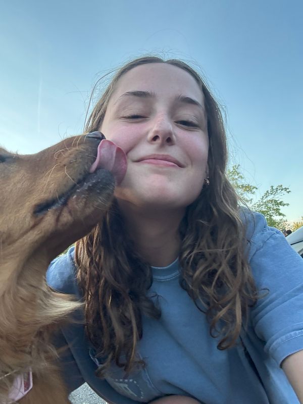 Dog Walking