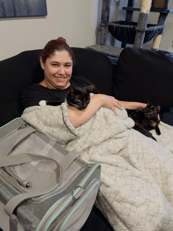 Experienced Cat sitter