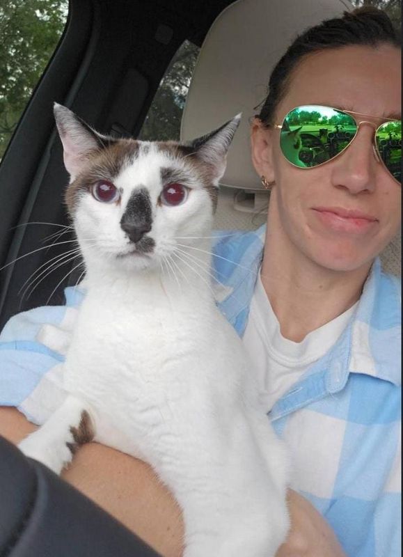 A white cat with brown markings and red eyes is held by a person wearing aviator sunglasses and a blue plaid shirt in a car.