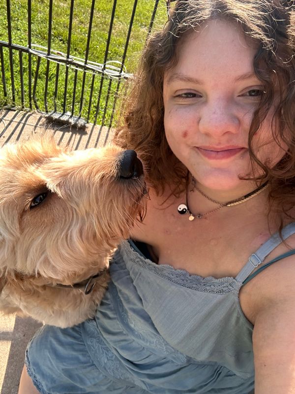 Dog Walking