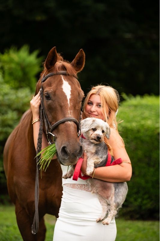 A woman in a white dress stands beside a brown horse with a white blaze, holding a small gray dog, with green bushes behind.