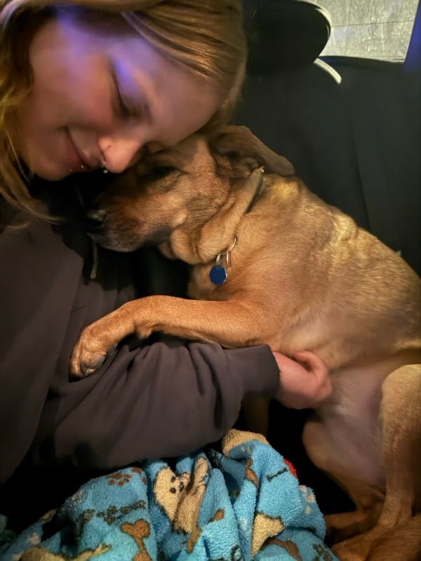 A smiling person with eyes closed rests their head against a tan dog with a blue tag, sitting on a blue paw-print blanket.