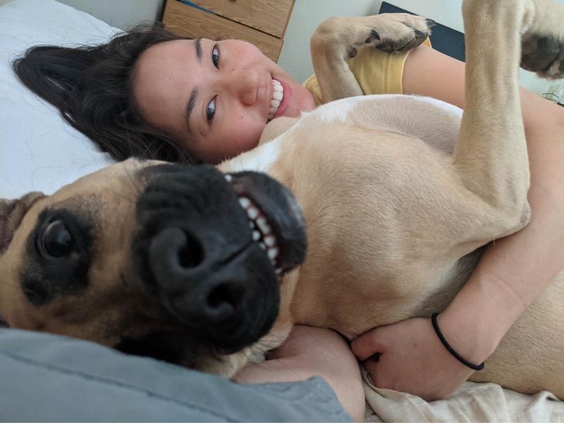 A smiling woman lies on a bed beside a tan dog with a black muzzle, which lies on its back with its paws in the air.